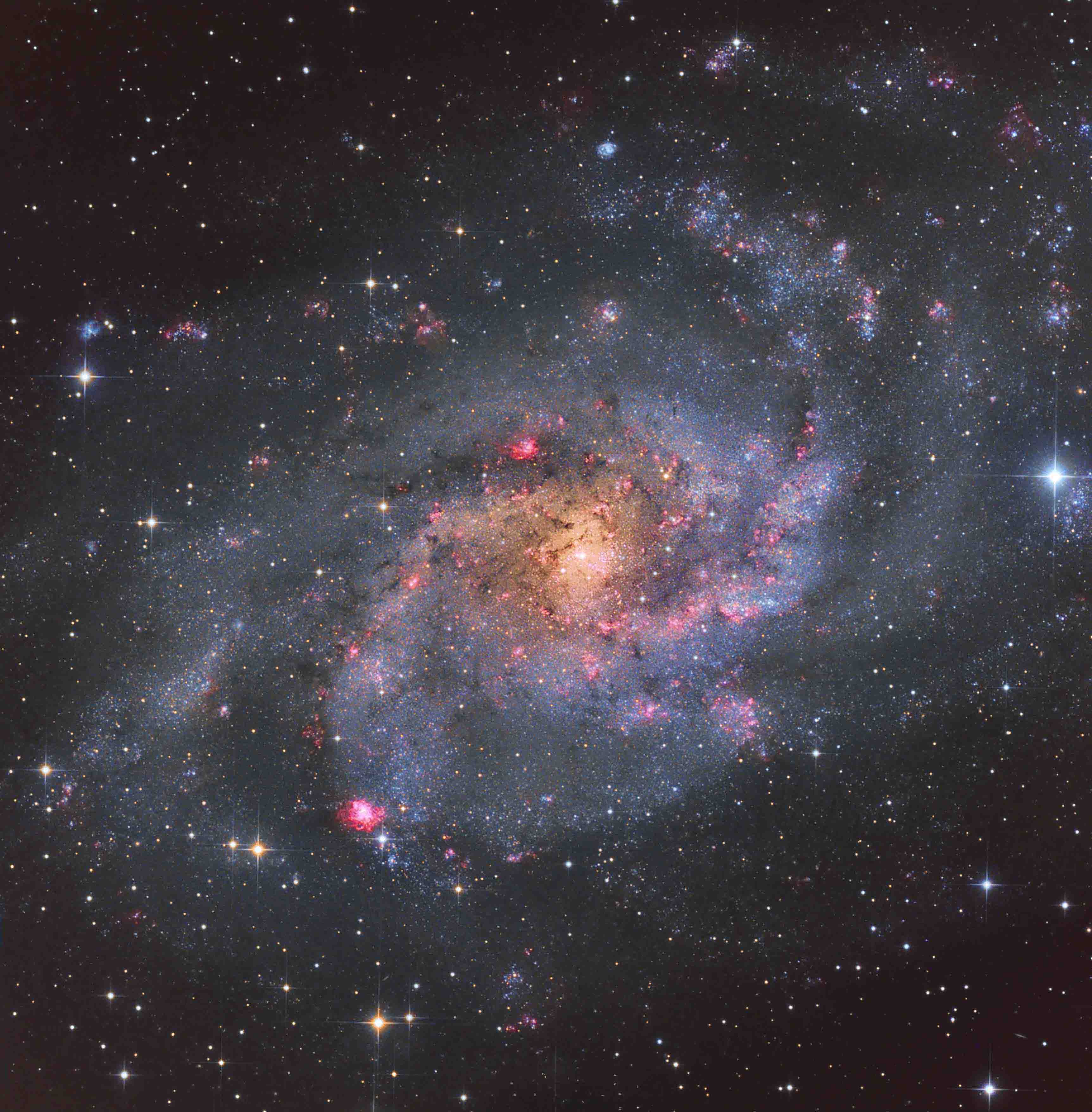 M33