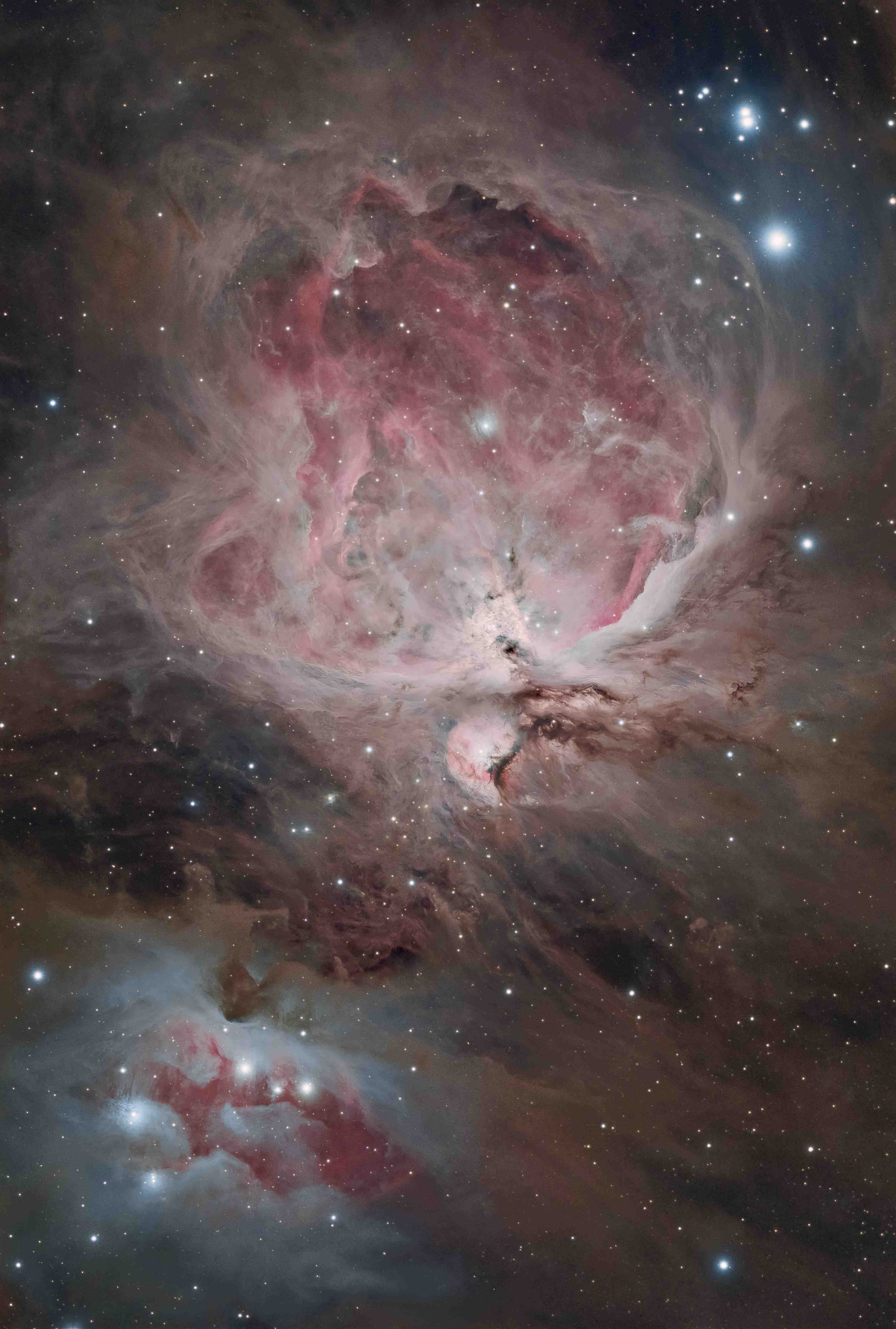 Orion Nebula